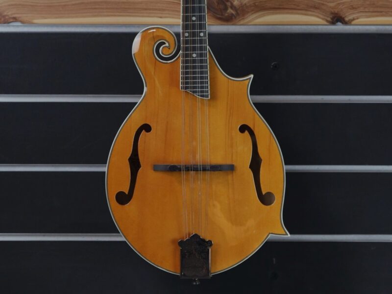 rover rm 75 mandolin