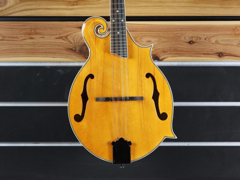 rover rm 75 mandolin
