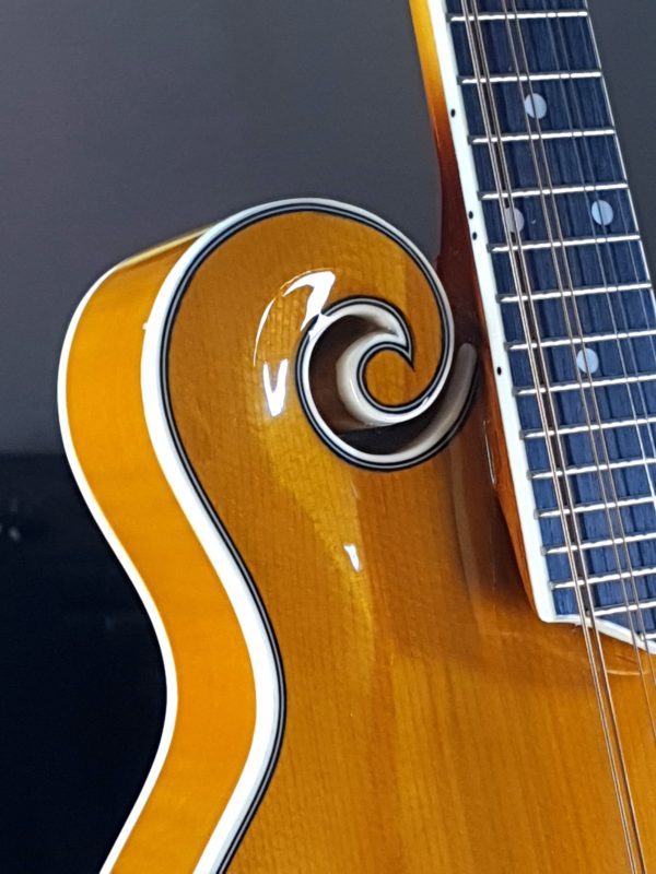 rover rm 75 mandolin guitar gallery (1)