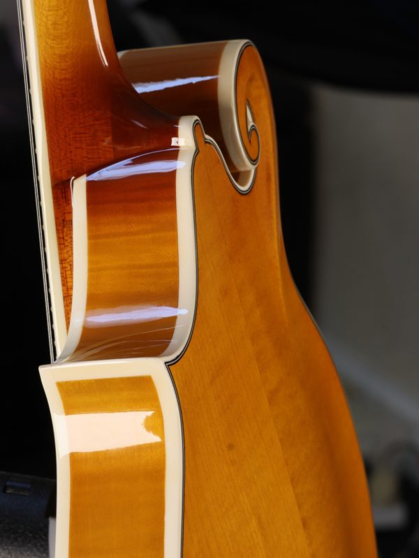 rover rm 75 mandolin guitar gallery (8)