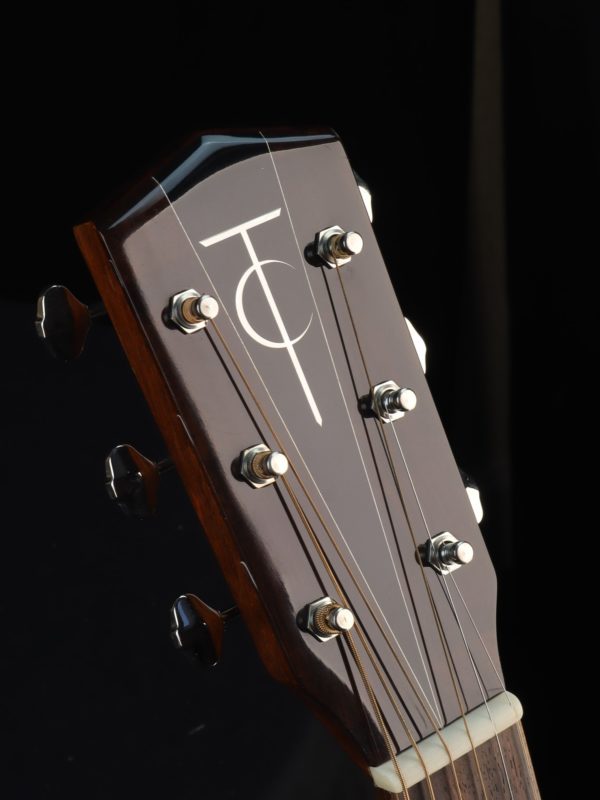 trinity college tg 202 guitar headstock