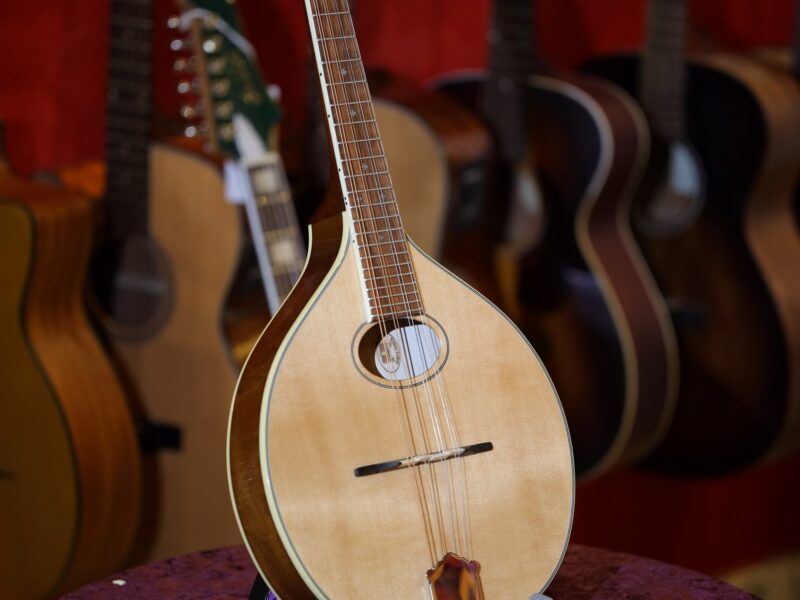 trinity college tm 250 mandolin