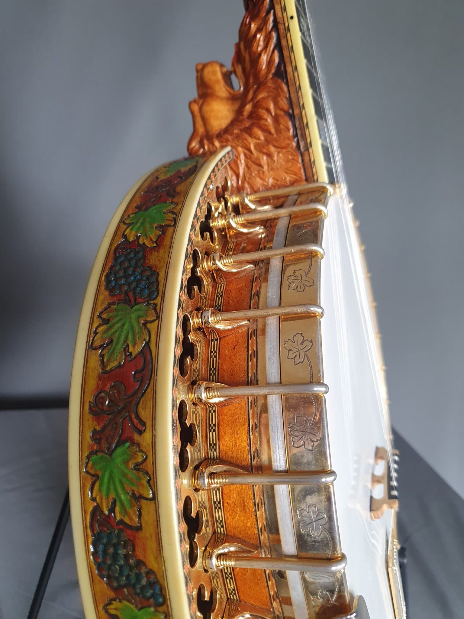 Bluegrass Banjo by Buckmaster Guitar Gallery Music Shop MELB