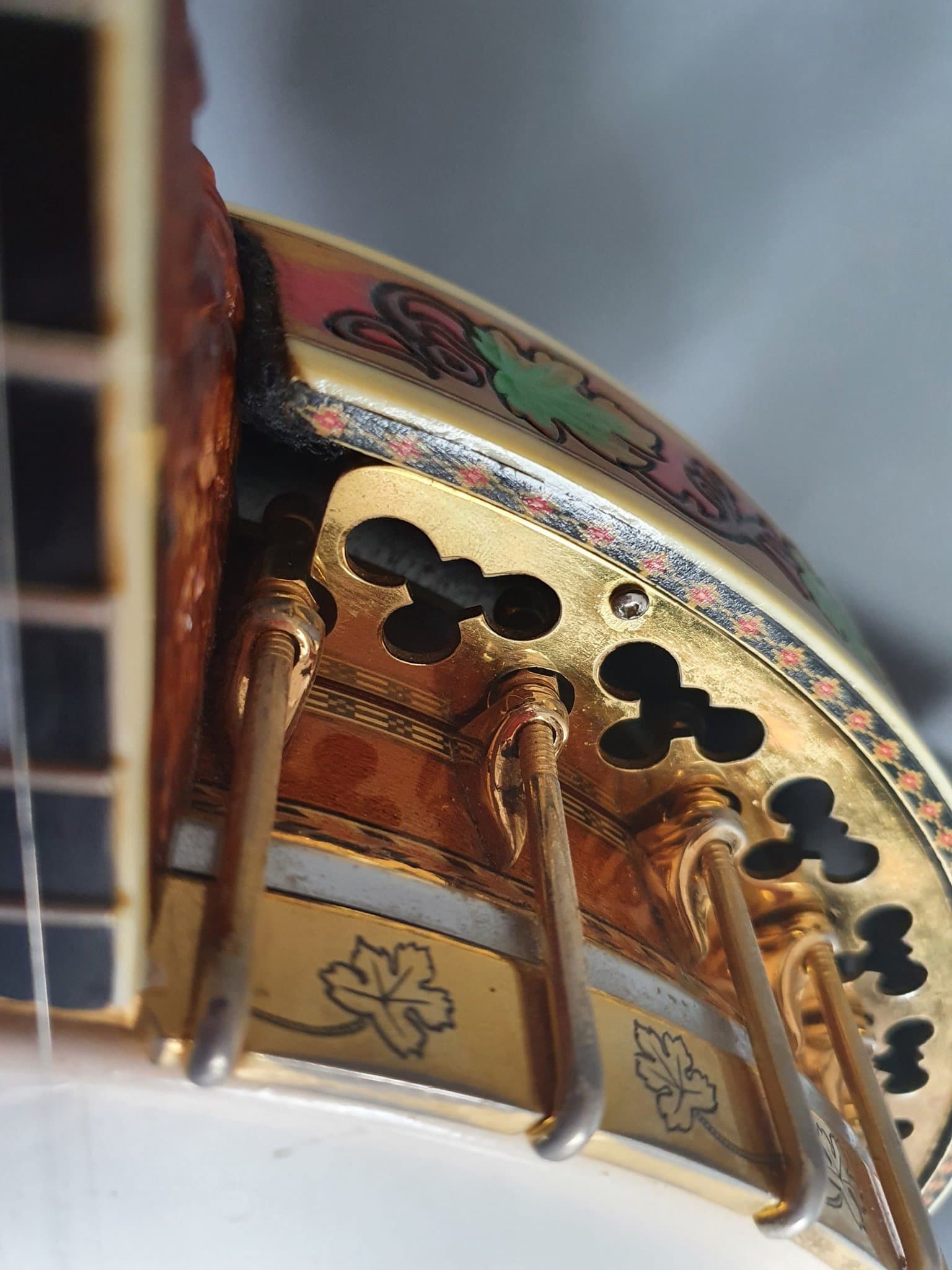 Bluegrass Banjo by Buckmaster Guitar Gallery Music Shop MELB