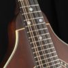 eastman md304 mandolin frets