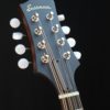 eastman md304 mandolin headstock