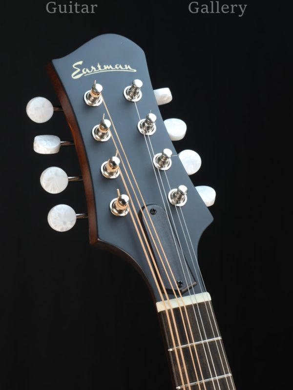 eastman md304 mandolin headstock