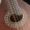 eastman md304 mandolin roundhole