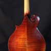 eastman md515 v mandolin back