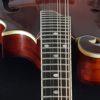 eastman md515 v mandolin fretboard