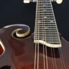 eastman md515 v mandolin neck