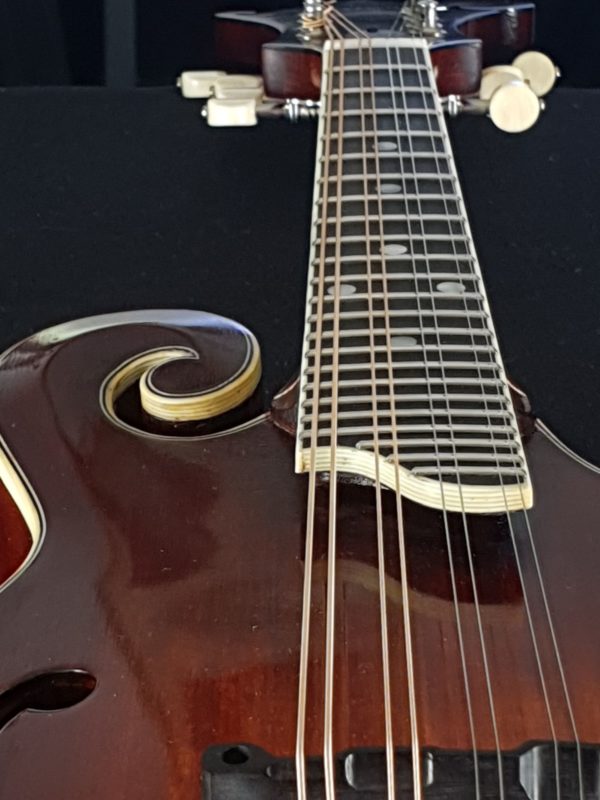 eastman md515 v mandolin neck