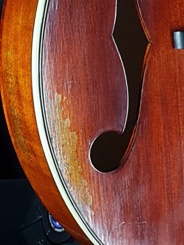 eastman md515 v mandolin pattina