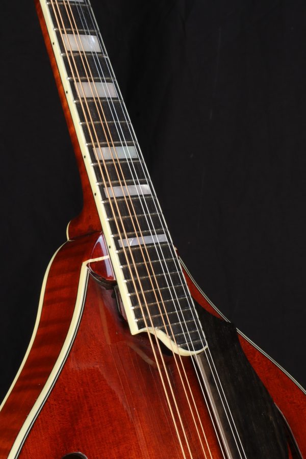 eastman md605 mandolin block inlays