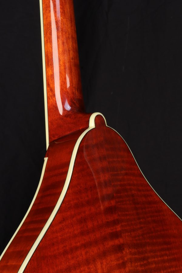 eastman md605 mandolin neck body