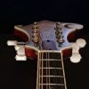 eastman md814 mandolin neck