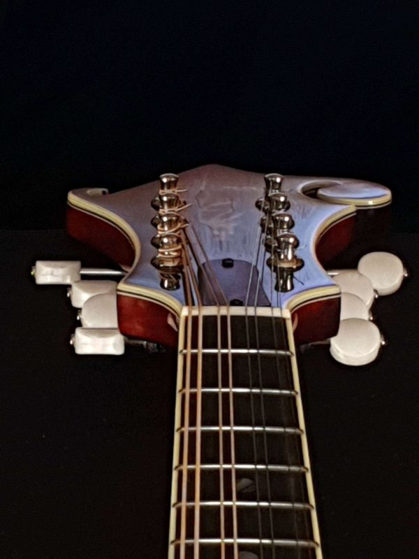 eastman md814 mandolin neck