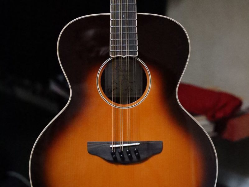 octolindo s model deluxe octave mandolin