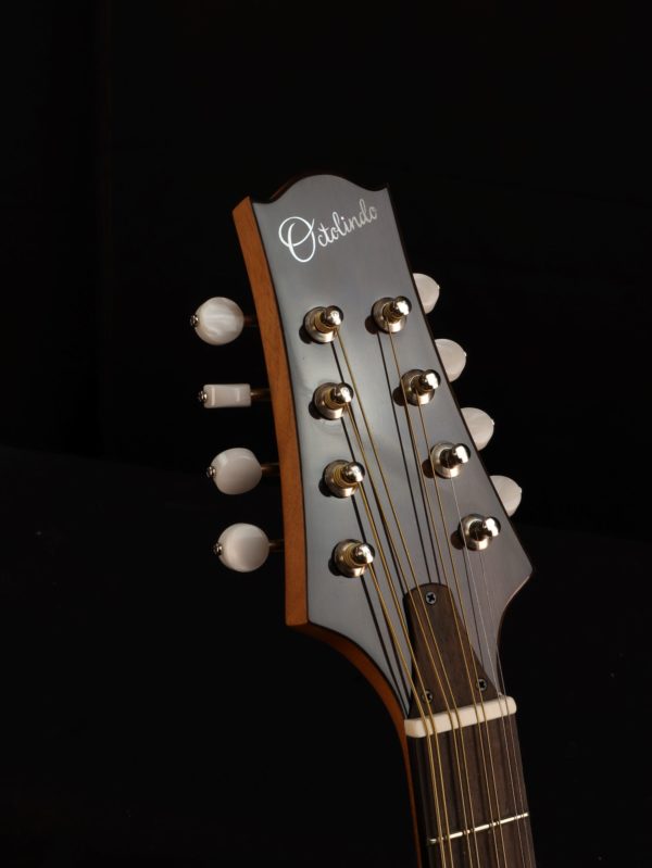 octolindo s model troubadour octave mandolin headstock