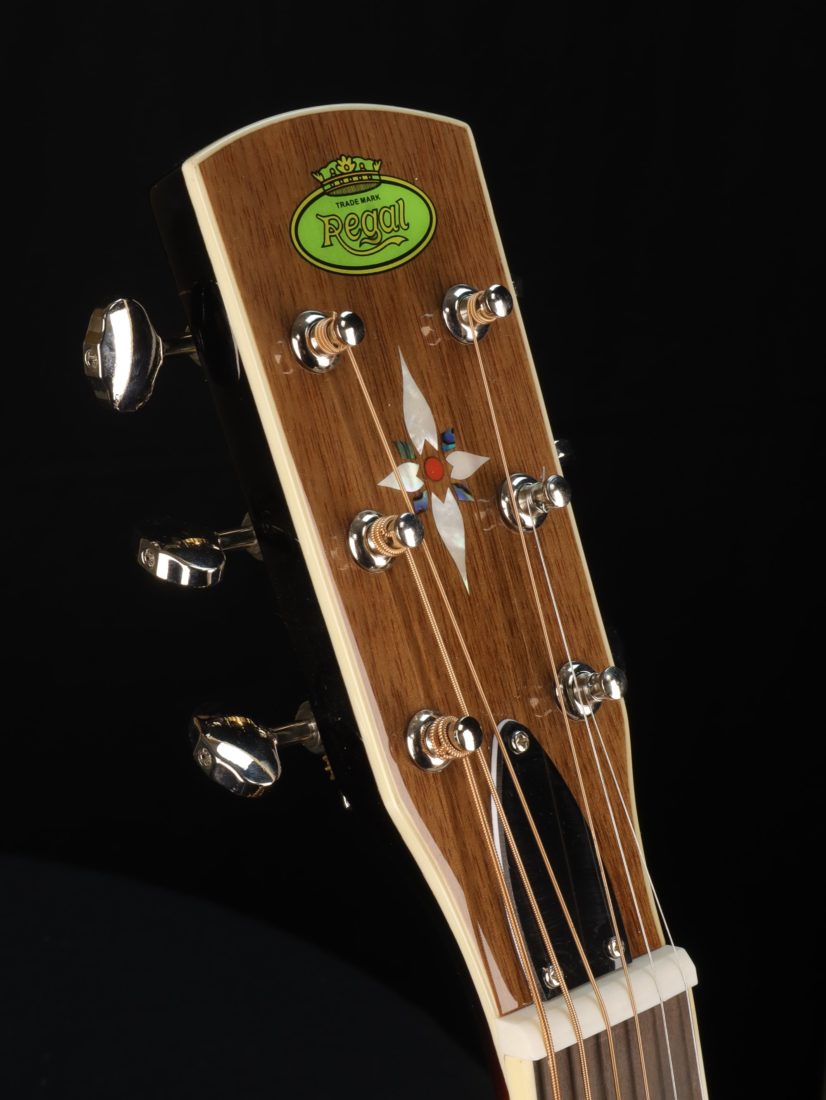 Regal RD40V Resonator Guitar Guitar Gallery Music Shop MELB
