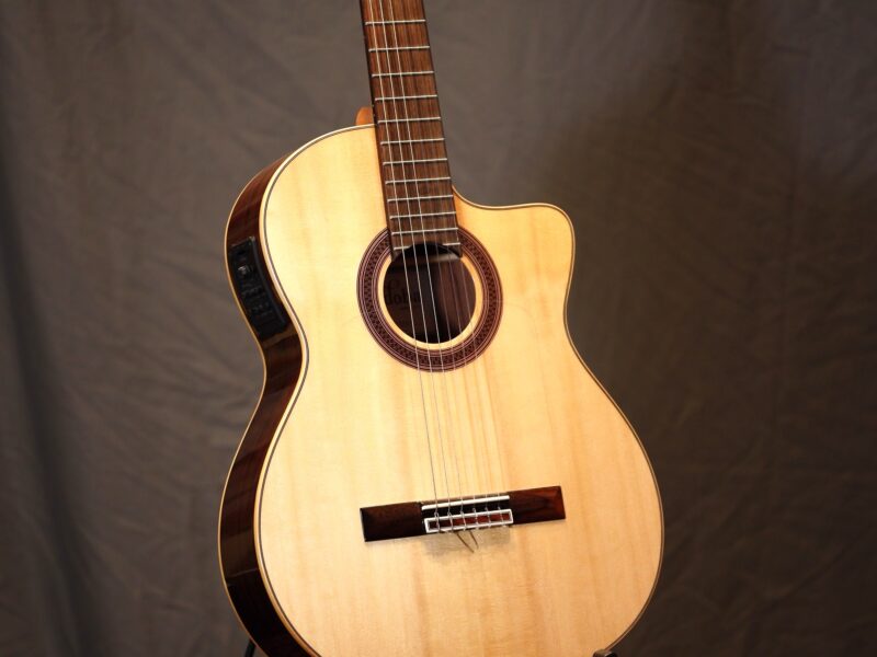 altamira n300cc crossover guitar