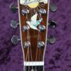 blueridge br 1060 carter stanley guitar signiture