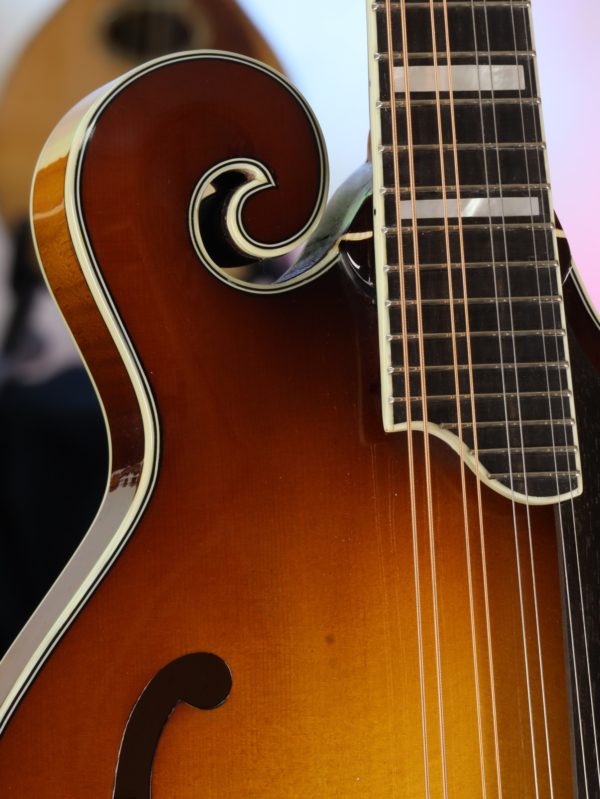 eastman md615 gb mandolin guitar gallery (10)