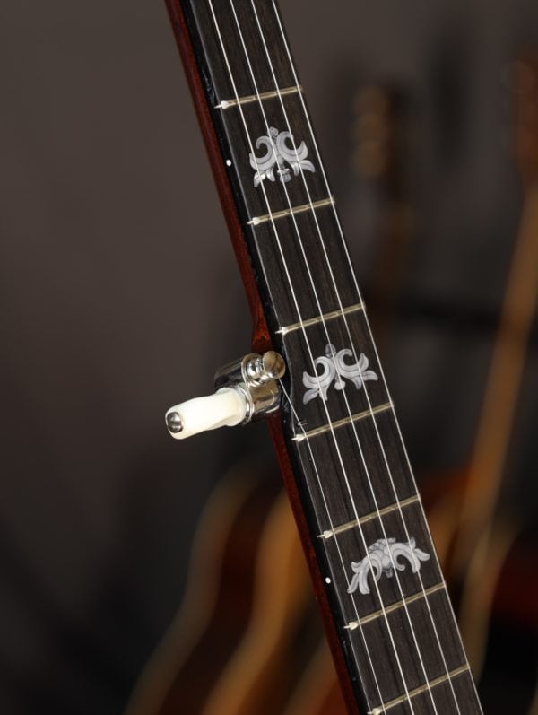deering eagle II 5 string banjo neck inlays