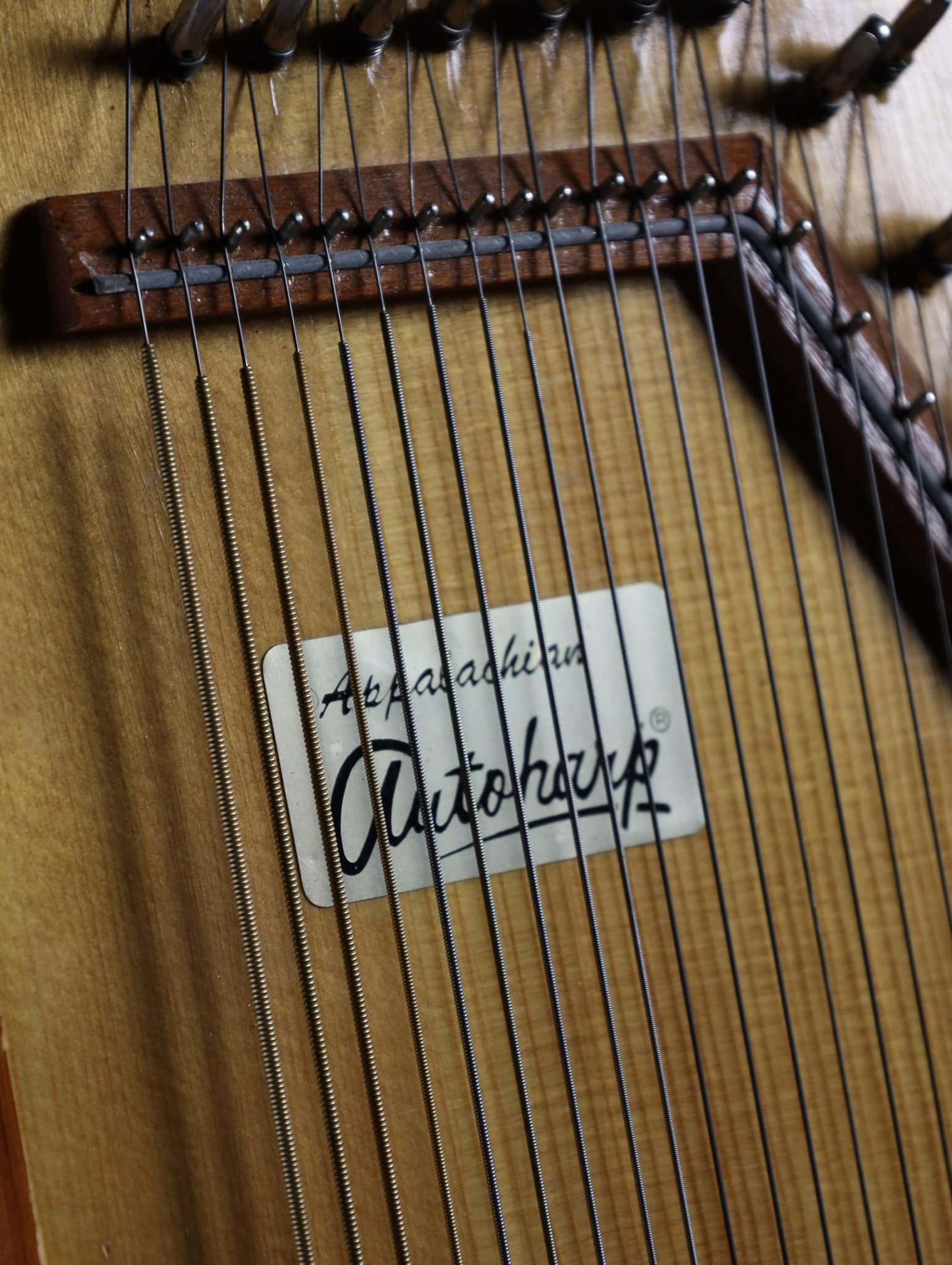 Autoharp Appalachian by Oscar Schmidt Guitar Gallery Music Shop MELB