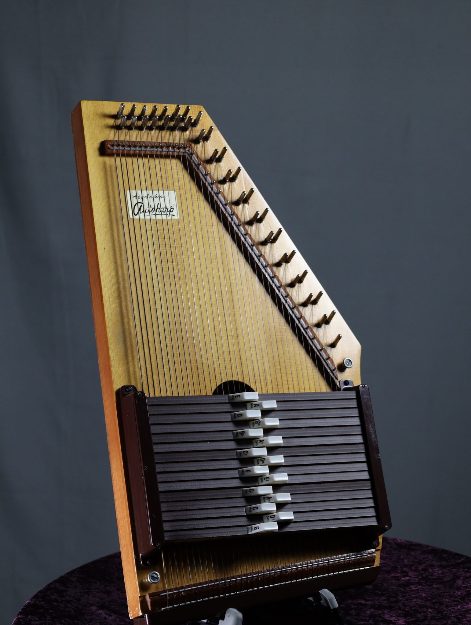 Autoharp