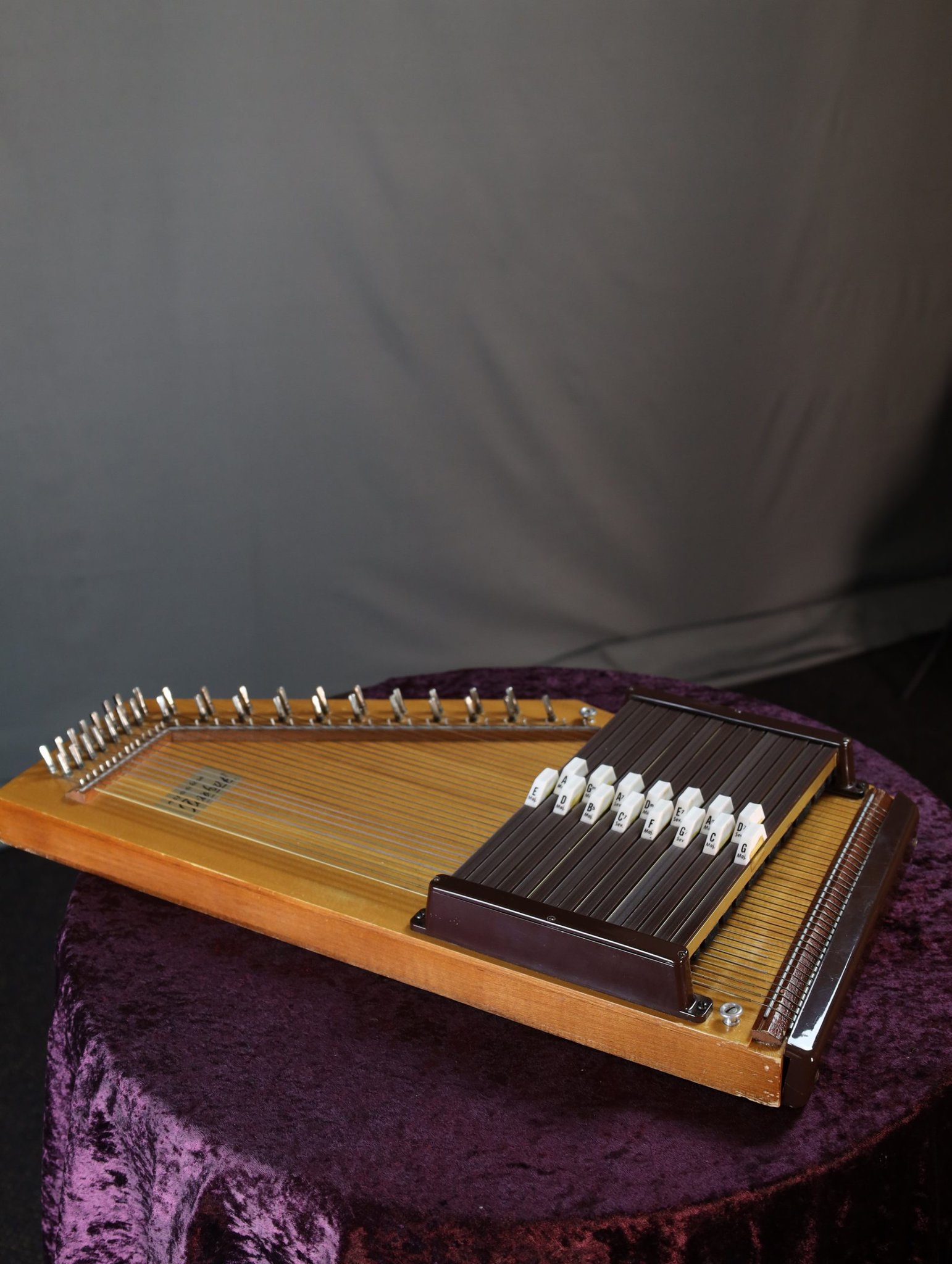 Autoharp Appalachian by Oscar Schmidt Guitar Gallery Music Shop MELB