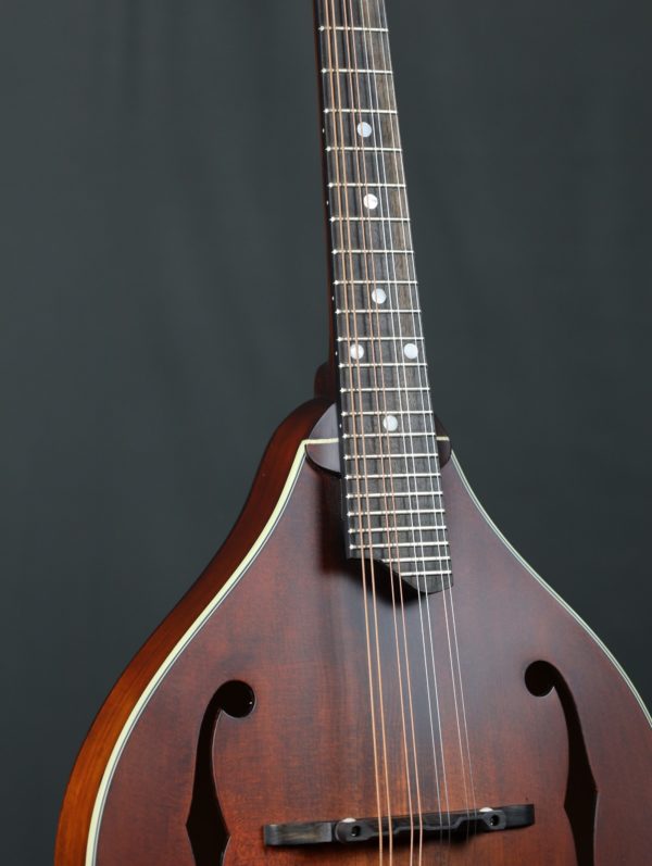 eastman md305 mandolin fingerboard