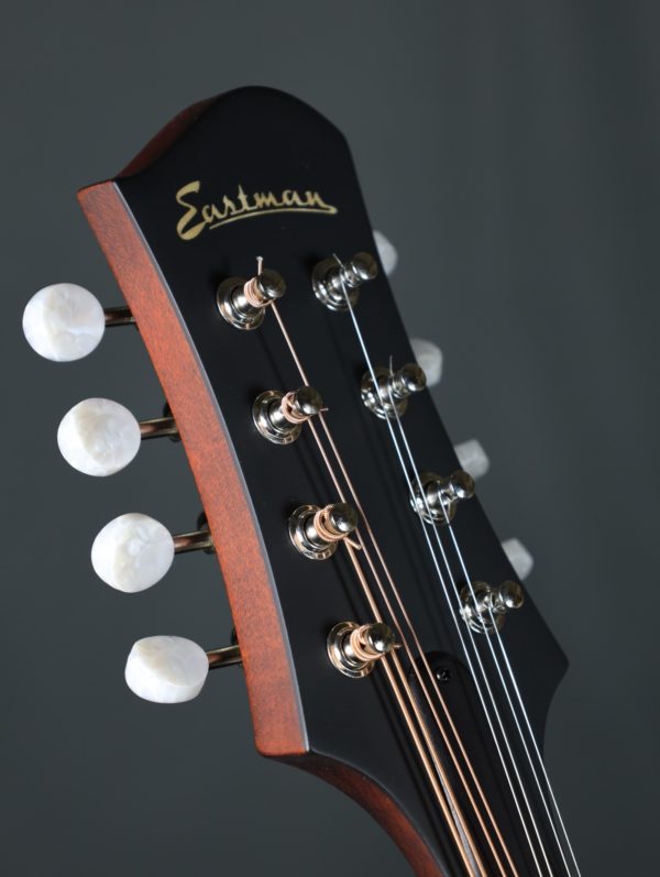 eastman md305 mandolin headstock