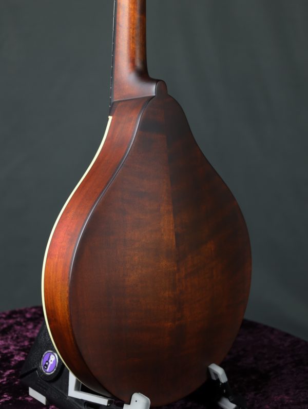 eastman md305 mandolin solid maple