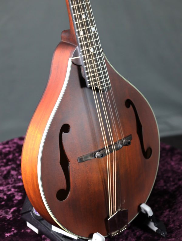 eastman md305 mandolin solid spruce top