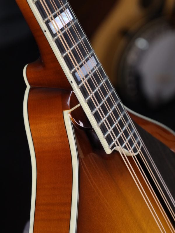 eastman mdo605 gb octave mandolin fingerboard