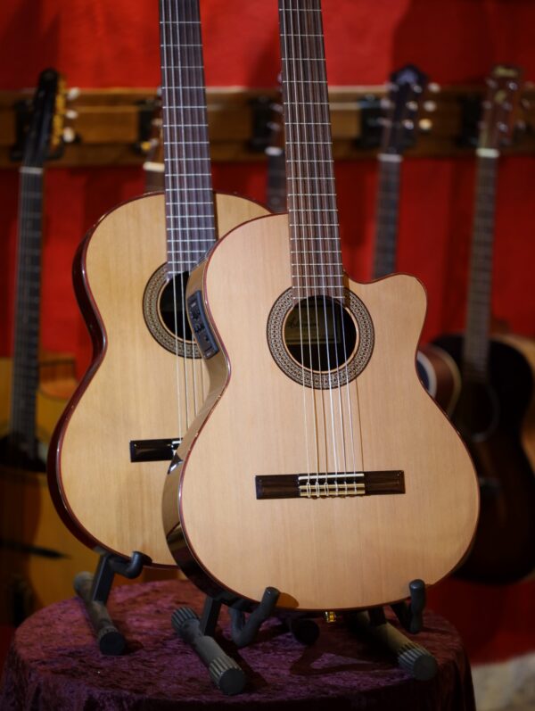 altamira n300 guitar range