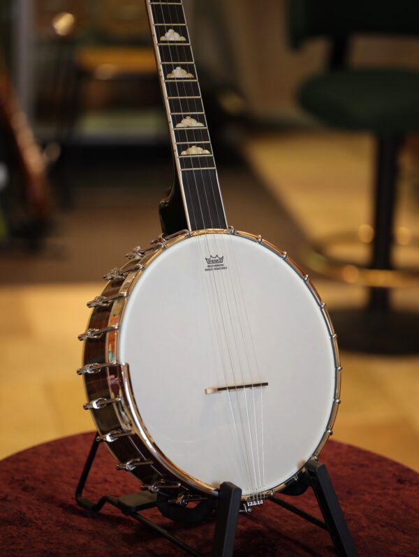 goldtone wl 250 banjo