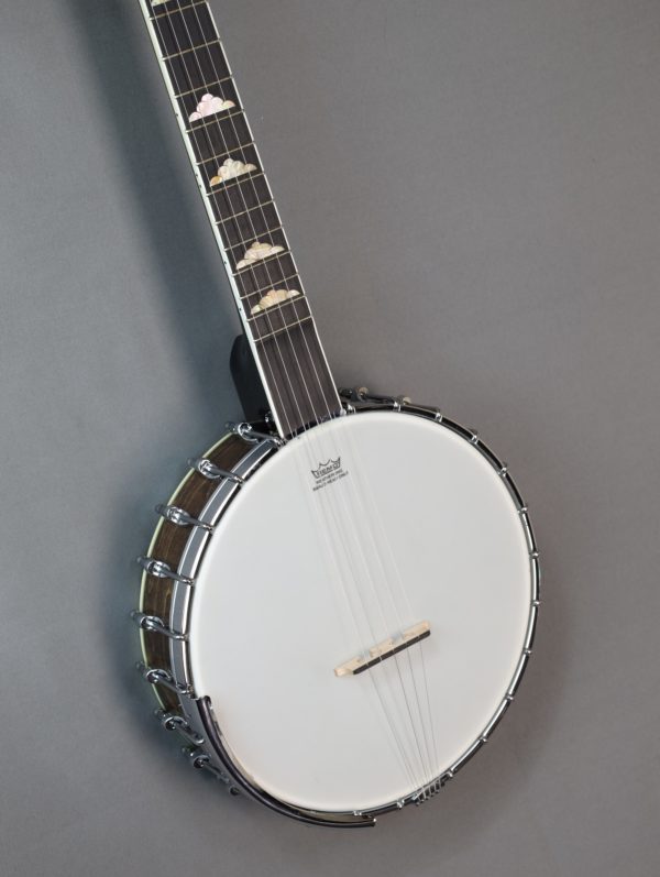 goldtone wl 250 banjo front