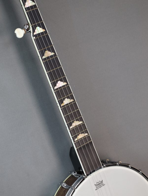 goldtone wl 250 banjo inlays
