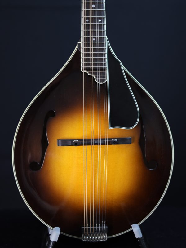northfield a 5 special mandolin black background