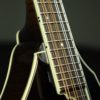 northfield a 5 special mandolin frets