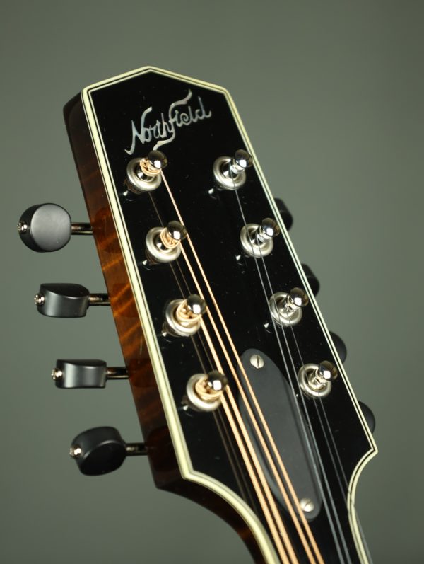 northfield a 5 special mandolin headstock