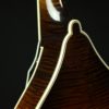 northfield a 5 special mandolin icelandic brown