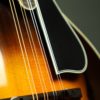 northfield a 5 special mandolin pickguard