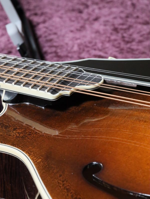 northfield artist series mandolin (10)