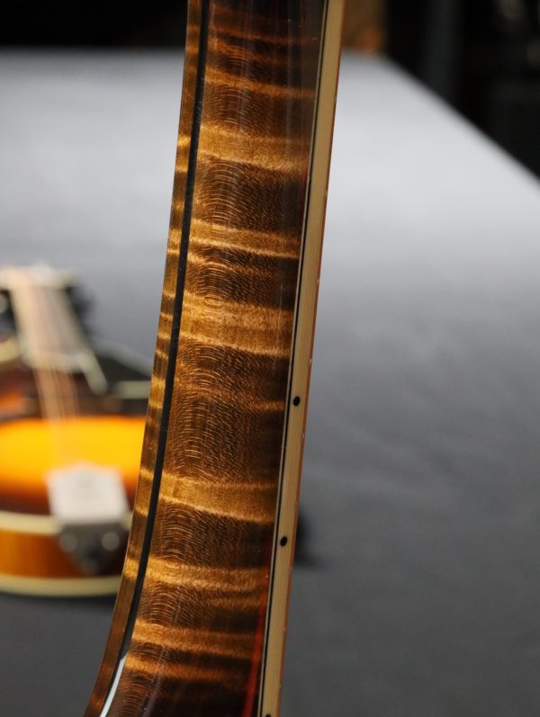 northfield artist series mandolin flamed maple neck