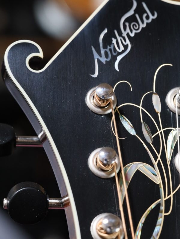 northfield artist series mandolin headstock inlays