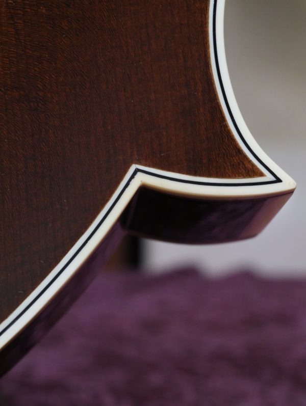 northfield artist series mandolin lower point