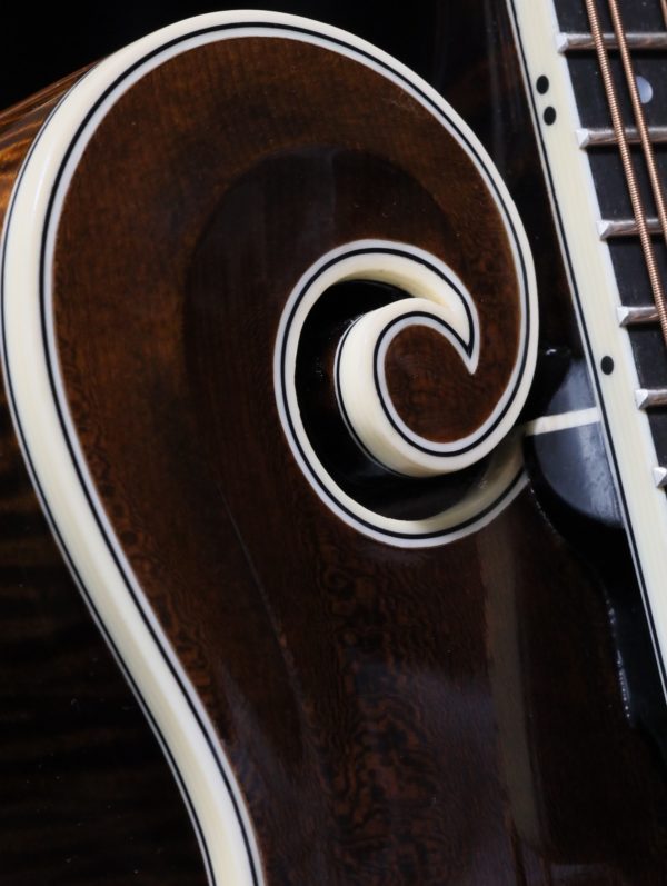 northfield artist series mandolin scroll curl